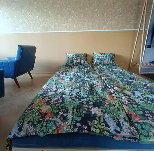 Hieno Kaksio Keskustassa Rauhallisella Alueella لوفيزا